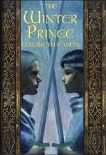 Winter Prince book cover
