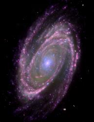 Spiral Galaxy M81 (via NASA)